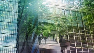 Building reflecting green trees people walking